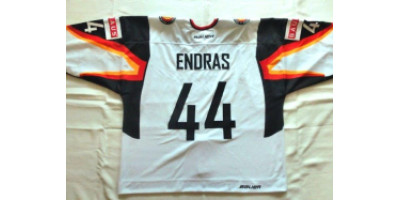DEB Gameworn Eishockeytrikot #44 Dennis Endras